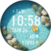 Pocket Resort Watch Face