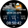 DIGI WEATHARN CTS25 Watch face