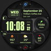 WFP 245 Digital watch face