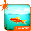 Golden Fish HD Wallpaper Theme