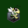 Wellsboro Hornets