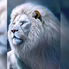 White Lion Wallpaper