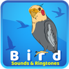 Bird Sounds & Ringtones