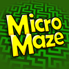 Micro Maze