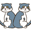 猫のまちがいさがし