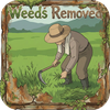 Weeds Removed