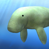 Dugong and Tropical Fish