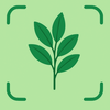 Plant Finder: Botanify