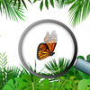 Hidden objects and Animals