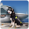 Police Dog Cruise Crime Chase