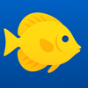 Reefer: Fish & Coral ID