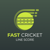 Fast Cricket Line Score