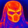 Predator Vision