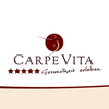 Carpe Vita Neustadt