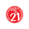 VSGfit 21
