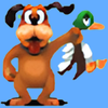 duck hunt