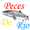 Guia de Peces de Río
