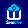 Wi-BiCAM