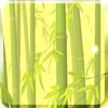 Bamboo Forest Live Wallpaper