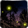 Fireflies Live Wallpaper