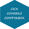 CICA CONSEILS