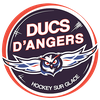 Ducs d'Angers