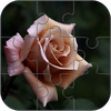 Rose Jigsaw Puzzle