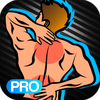 Back pain relief exercises PRO