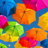 Umbrella Wallpapers