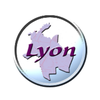 Lyon City Guide