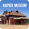 Napier Museum