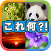 写真から連想！クイズこれ何？