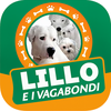 Lillo App