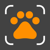 Dog Identifier—Breed Scanner