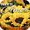 Girasoles de Amor con Frases