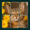 Jigsaw Tiles Solitaire