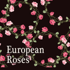 Elegant Theme-European Roses-