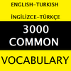 3000 Most Using Words in Engli