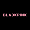 BLACKPINK LIGHT STICK SE APP
