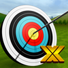 Archery World Champion X
