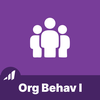 Organizational Behaviour I