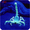 Scorpion Hd Wallpaper