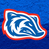 Arkadelphia Badger Athletics