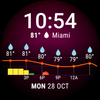 Weather Forecast Watch Face