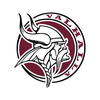 Valhalla Vikings