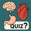 Organs Quiz