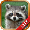 Animals for Kids