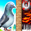 Pigeon Rescue - escape game