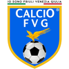 Calcio FVG