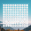Word Hunt